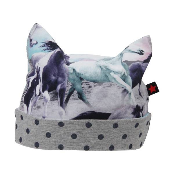 Molo Noma wild horses lue