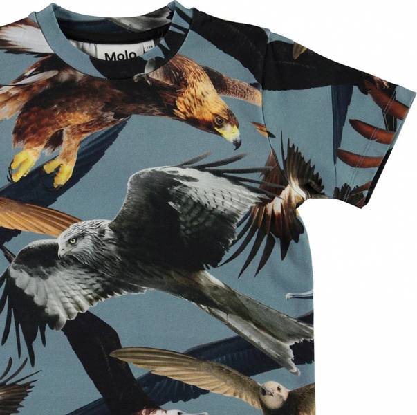 Molo, Ralphie birds tskjorte