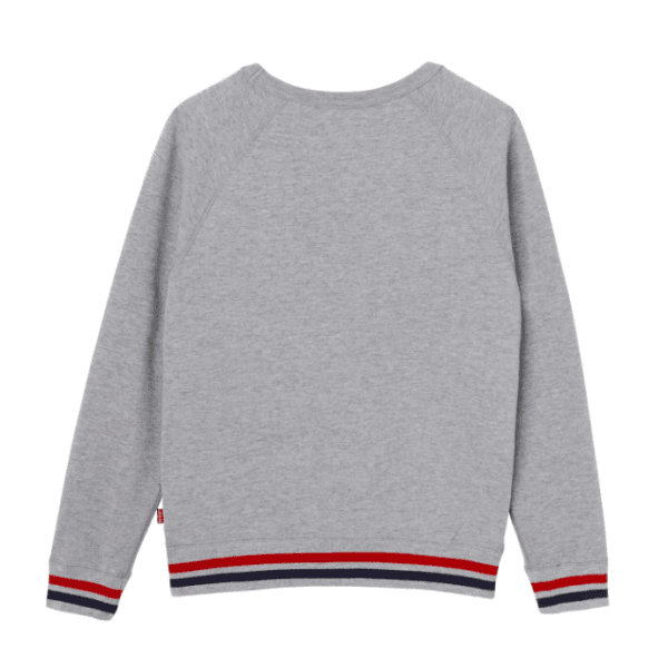 Levis, Patchy sweatgenser marled grey