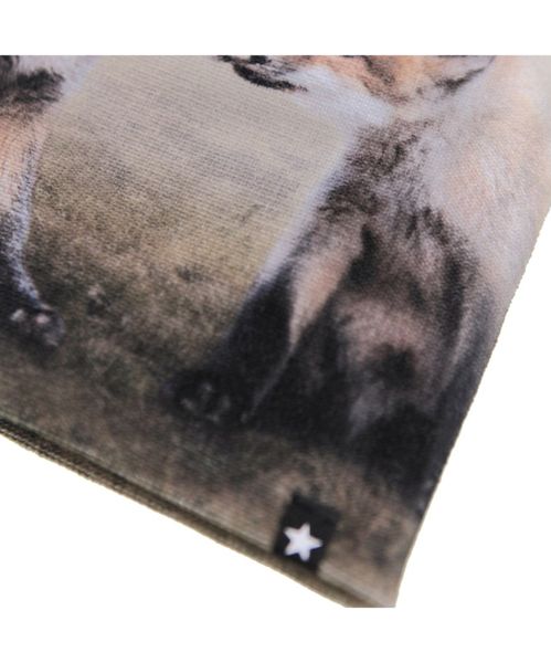 Molo lue og vanter Kaya fox cubs